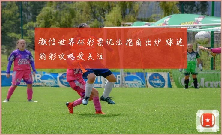 微信世界杯彩票玩法指南出炉 球迷购彩攻略受关注